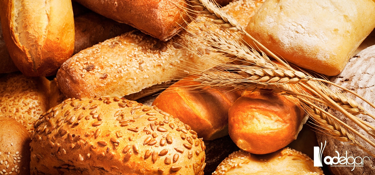 El pan engorda: ¿verdad o falso mito?